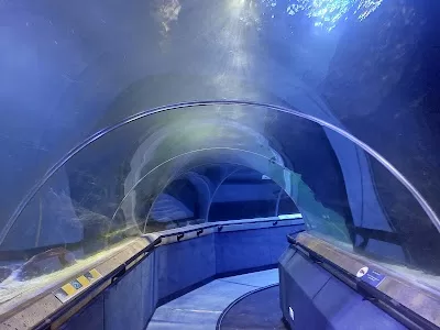 Blinds Dunfermline in Dunfermline, FIF