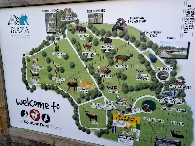 Blinds Dunfermline in Dunfermline, FIF