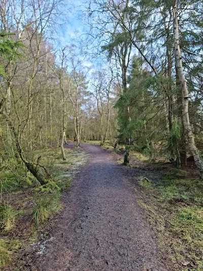 Blinds Dunfermline in Dunfermline, FIF