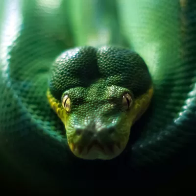 Blinds Dunfermline in Dunfermline, FIF